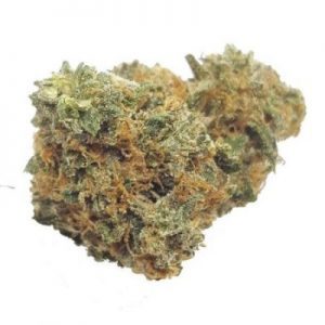 Buy Bubba Kush Marijuana Strain UK