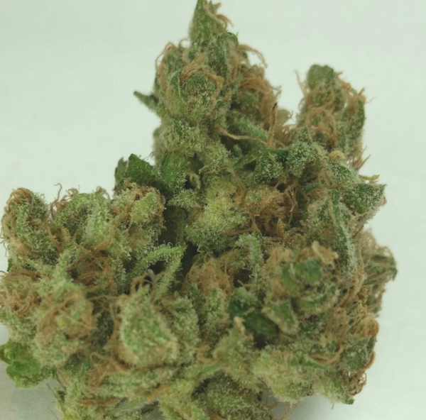 Buy-Cannalope-Haze-Cannabis-Strain-uk