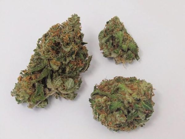 Buy Critical Mass Marijuana Strain UK