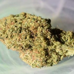 Buy Dutch Dragon Cannabis Strain -UK