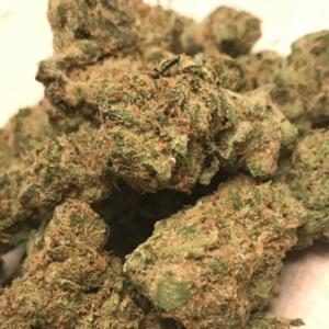 Buy-Dutch-Treat-Cannabis-Online-UK