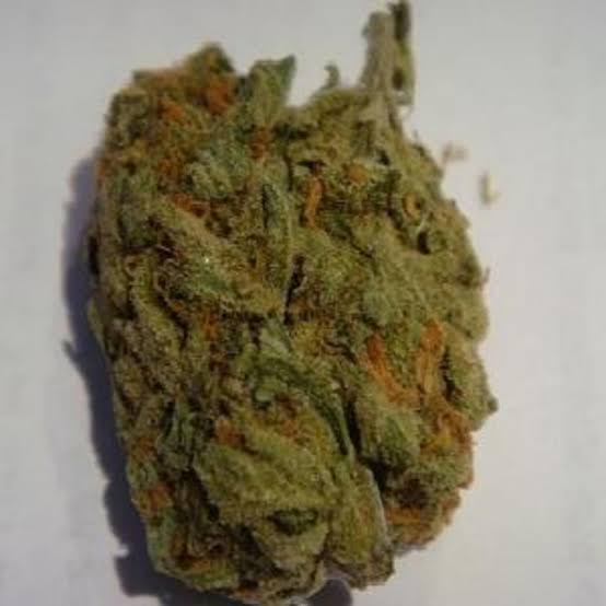 Buy G13 Haze Marijuana Strain UK