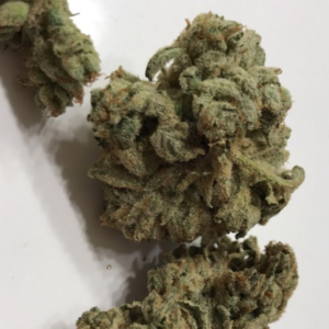 Buy GG4 Marijuana Strain-UK
