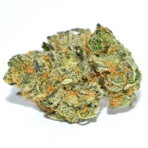 Buy Girls Scout Cookies Marijuana strains Buy Girls Scout Cookies Marijuana strains A well known strain of the marijuana strain. Generally, this is made of mixed indica Strain and the Sativa Strain. Has sharp small and dense buds which are slightly darker. As well it takes a great phenotypes of the Sativa and the indica. In green shades to the usual sativa strain is typical bright green. Small and dense buds with green shade. Slightly darker than the Sativa and Indica green variety. The red bristles are red but longer than usual. Making the buds seem mysterious from a distance. As such Buy Girls Scout Cookies Marijuana strains Buy Girls Scout Cookies Marijuana strains When smoking this strain. We expect a very earthy flavor. With hints of desserts and spices. It’s effects tend towards Sativa properties. Making it a mentally stimulating breed. With little body effects when smoking in small doses. The breed is great for social functions. Or creative activities – anything your brain needs to be active and shared. When consumed in larger quantities. Especially by novice users. Can raise stress anxiety and paranoia as with strong Sativa strains. You will usually want to try a blow. Or two before committing to a full joint. More so Buy Girls Scout Cookies Marijuana strains It is a relatively easy growing breed when weighed against other sativas. The weight actually accumulates towards the end of the growth cycle. As the buds begin to inhibit the tall thin frame of the plant. The returns can reach 2.5 oz per plant within the house. With external returns of up to 3 pounds per plant. Therefore Buy Girls Scout Cookies Marijuana strains-UK