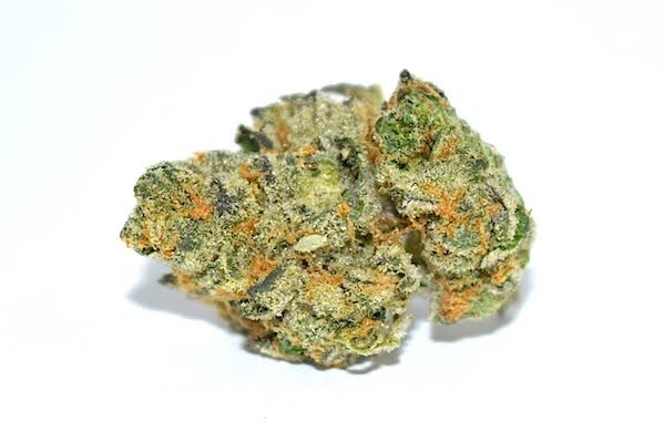 Buy Girls Scout Cookies Marijuana strains Buy Girls Scout Cookies Marijuana strains A well known strain of the marijuana strain. Generally, this is made of mixed indica Strain and the Sativa Strain. Has sharp small and dense buds which are slightly darker. As well it takes a great phenotypes of the Sativa and the indica. In green shades to the usual sativa strain is typical bright green. Small and dense buds with green shade. Slightly darker than the Sativa and Indica green variety. The red bristles are red but longer than usual. Making the buds seem mysterious from a distance. As such Buy Girls Scout Cookies Marijuana strains Buy Girls Scout Cookies Marijuana strains When smoking this strain. We expect a very earthy flavor. With hints of desserts and spices. It’s effects tend towards Sativa properties. Making it a mentally stimulating breed. With little body effects when smoking in small doses. The breed is great for social functions. Or creative activities – anything your brain needs to be active and shared. When consumed in larger quantities. Especially by novice users. Can raise stress anxiety and paranoia as with strong Sativa strains. You will usually want to try a blow. Or two before committing to a full joint. More so Buy Girls Scout Cookies Marijuana strains It is a relatively easy growing breed when weighed against other sativas. The weight actually accumulates towards the end of the growth cycle. As the buds begin to inhibit the tall thin frame of the plant. The returns can reach 2.5 oz per plant within the house. With external returns of up to 3 pounds per plant. Therefore Buy Girls Scout Cookies Marijuana strains-UK