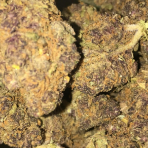 Buy Granddaddy Purple Marijuana Strain UK