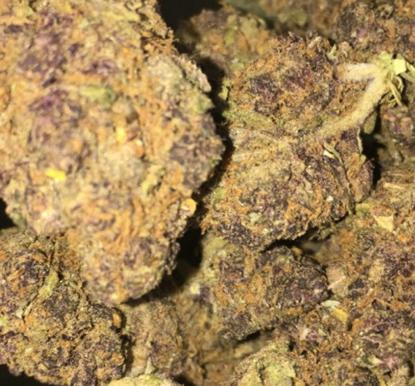 Buy Granddaddy Purple Marijuana Strain UK