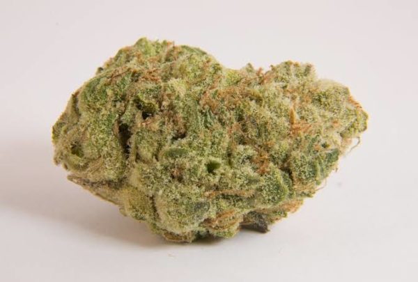 Buy Larry OG Marijuana Strain-UK