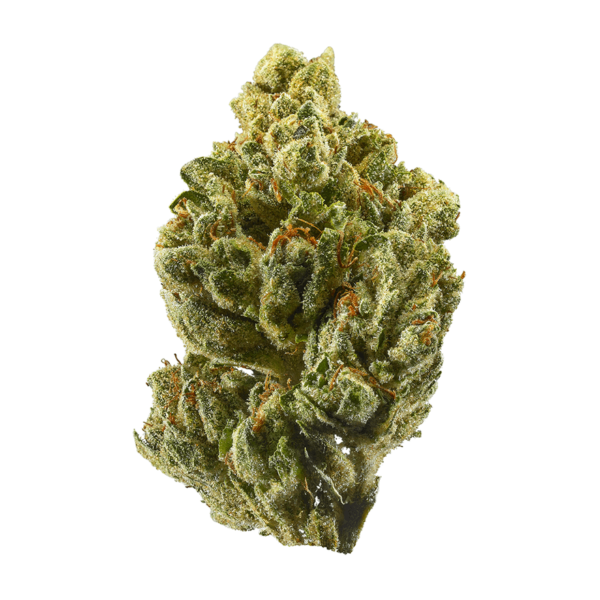 Buy OG Kush Marijuana Strain-UK