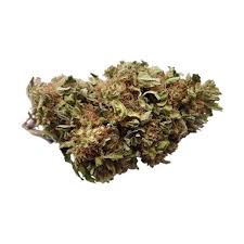 Buy Purple Kush Marijuana Strain Buy Purple Kush Marijuana Strain,Order Cannabis oil Online,Marijuana edibles,Mail Order Weed USA,Buy THC oil UK,Online Weed Store, Buy Marijuana Online,Buy Weed Online,