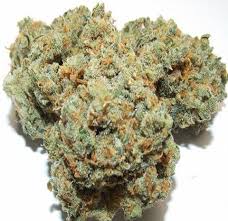 Buy XJ-13 Cannabis Online -uk