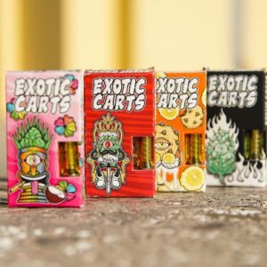 Exotic- Carts -For -Sale -UK