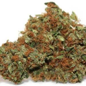 Mail Order Chemdawg Marijuana Strain