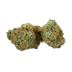 Buy Chocolope Marijuana Strain